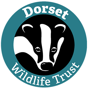 Dorset Wildlife Trust